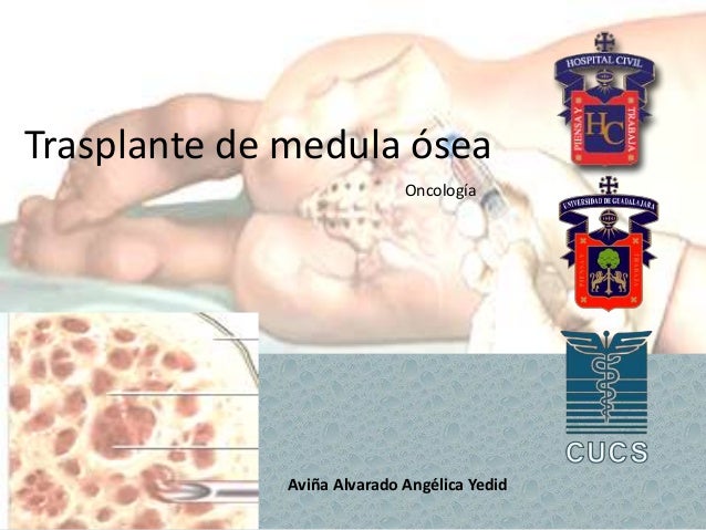 Trasplante de c lulas madre para tratar el c ncer